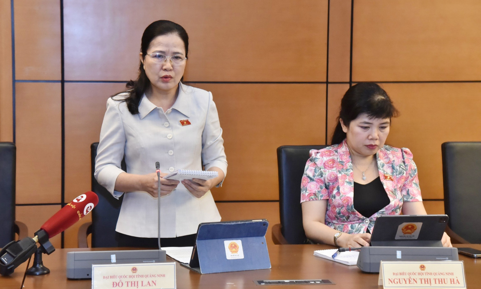 ĐBQH tỉnh Quảng Ninh cho ý kiến về Chương trình mục tiêu quốc gia phát triển KT-XH vùng đồng bào DTTS
