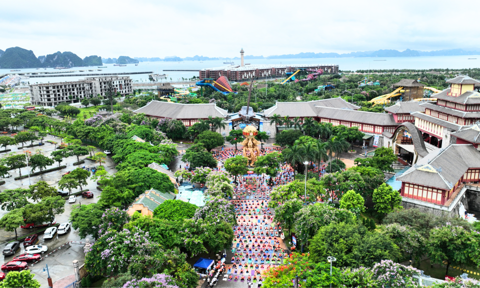 Nearly 2,000 people perform yoga at Summer Yoga Festival