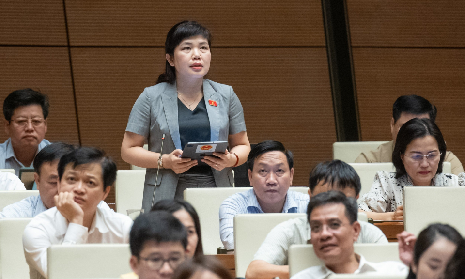 ĐBQH tỉnh Quảng Ninh cho ý kiến vào dự thảo Luật Bảo hiểm xã hội (sửa đổi)
