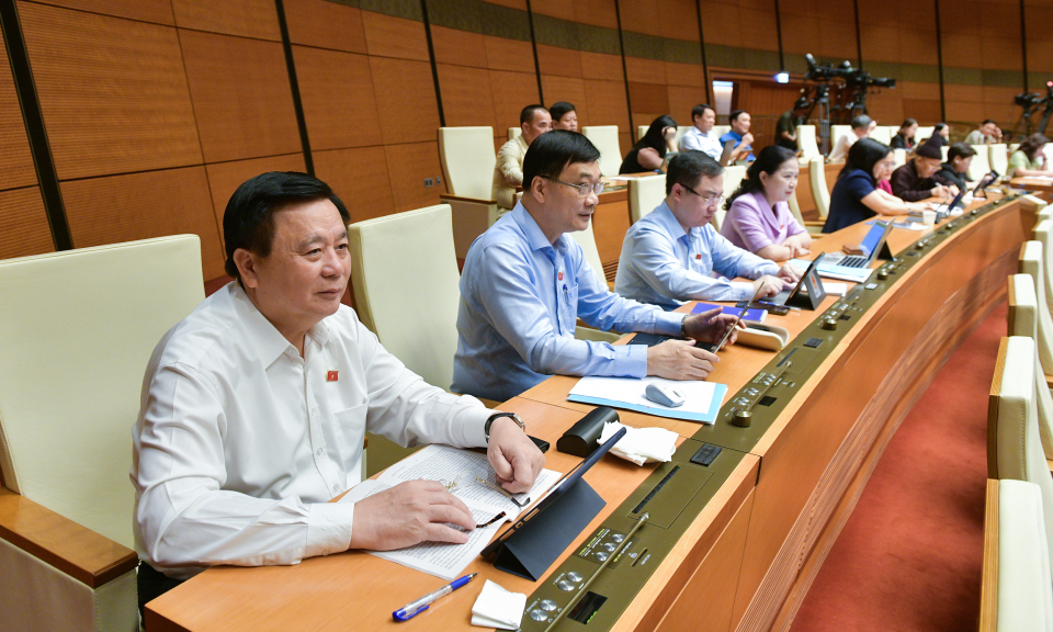 Phó Trưởng Đoàn ĐBQH tỉnh Nguyễn Thị Thu Hà cho ý kiến vào dự thảo Luật Tổ chức Tòa án nhân dân (sửa đổi)