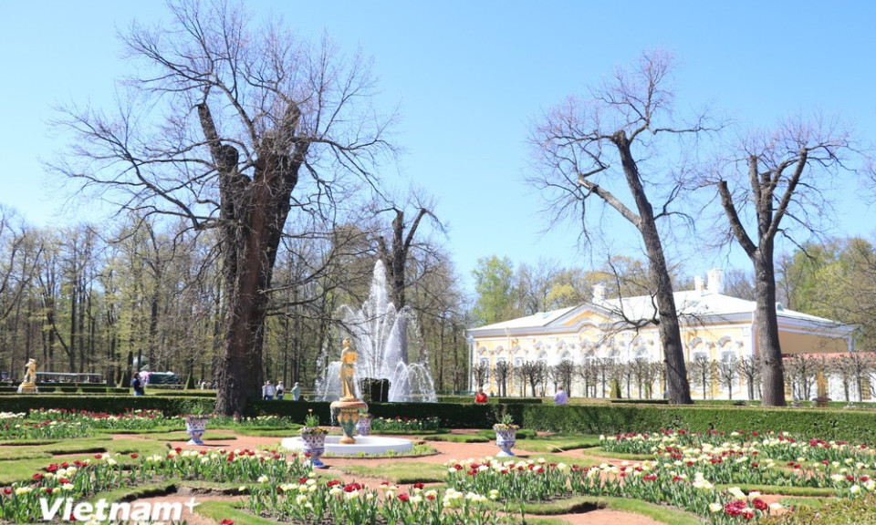 Chiêm ngưỡng vẻ đẹp lộng lẫy của Cung điện mùa hè nước Nga