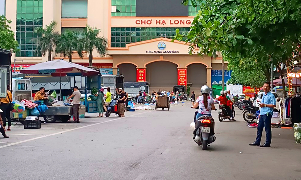 Mưu sinh chợ sớm 