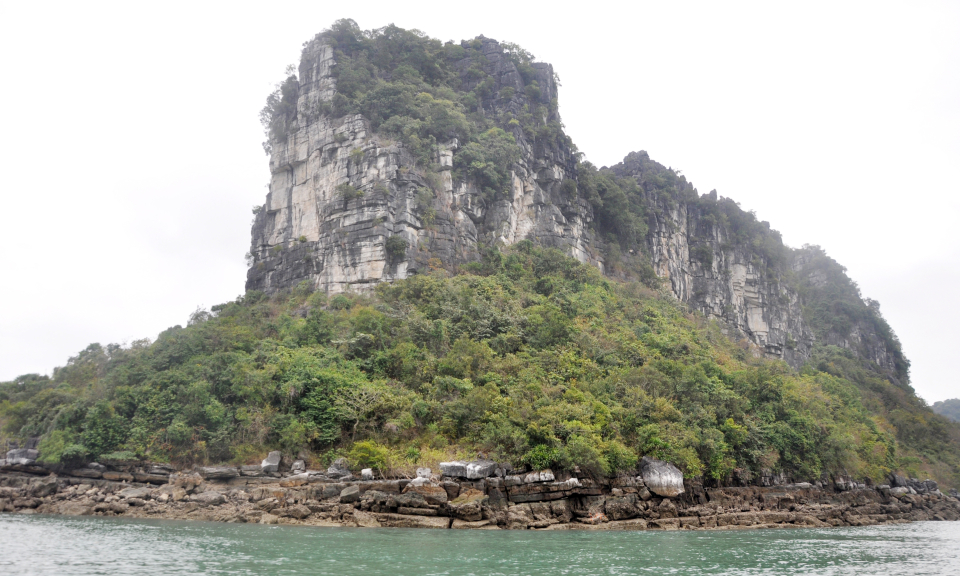  “Quảng Ninh có nhiều loài đặc hữu, quý hiếm, có giá trị bảo tồn cao”