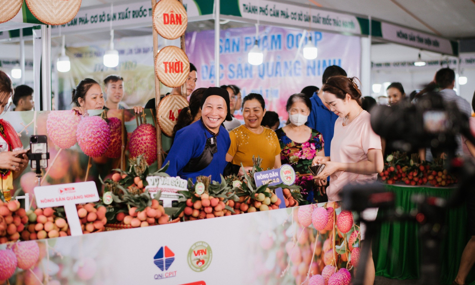 Vải chín sớm Phương Nam (TP Uông Bí): Tiêu thụ 100% sản lượng, thu gần 61 tỷ đồng