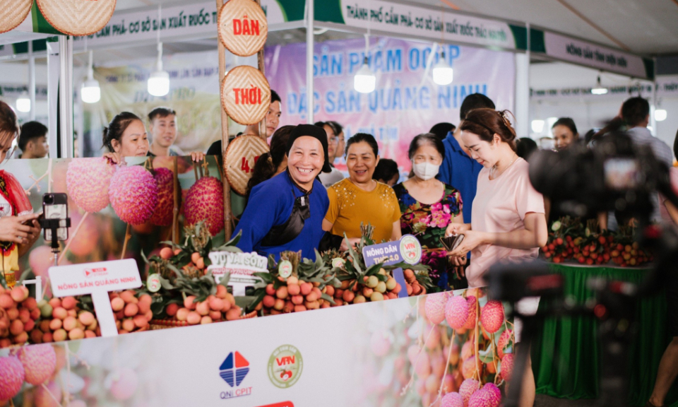 Bản tin Quảng Ninh ngày 29/5/2024