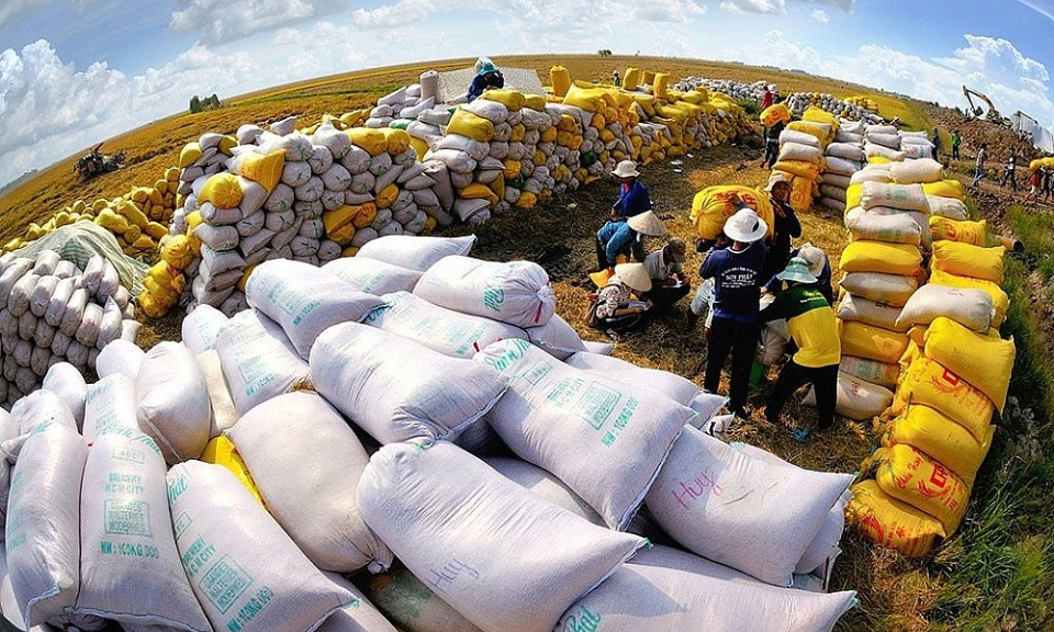 Xuất khẩu gạo tăng trưởng tích cực