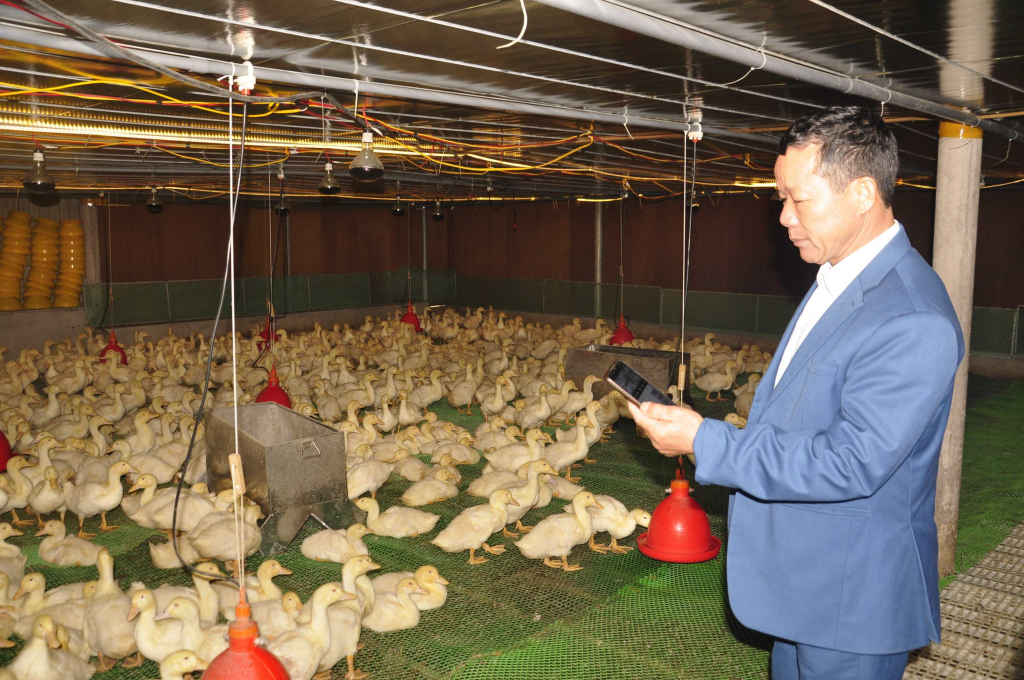 Mô hình nuôi gà ứng dụng công nghệ cao của ông Đồng Quang Cường (xã Cẩm La, TX Quảng Yên). Ảnh: Quốc Tảo (CTV)