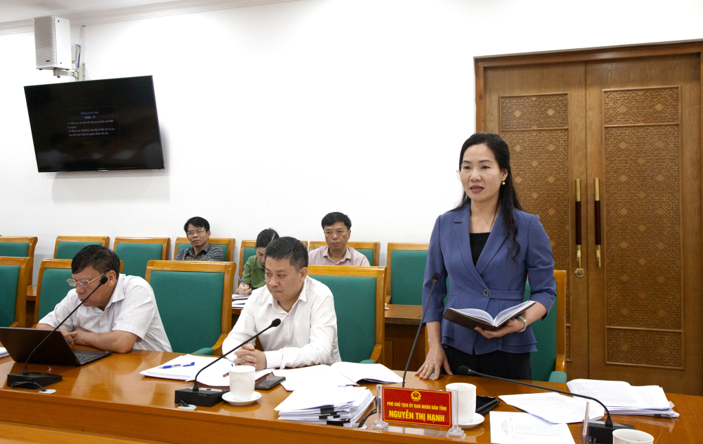 Đồng chí Nguyễn Thị Hạnh phát biểu tại cuộc họp