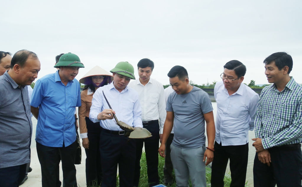 Đồng chí Bí thư Tỉnh ủy, Chủ tịch HĐND tỉnh cùng đoàn công tác kiểm tra mô hình nuôi sam tại thôn Đầm Buôn, xã Đầm Hà, huyện Đầm Hà.