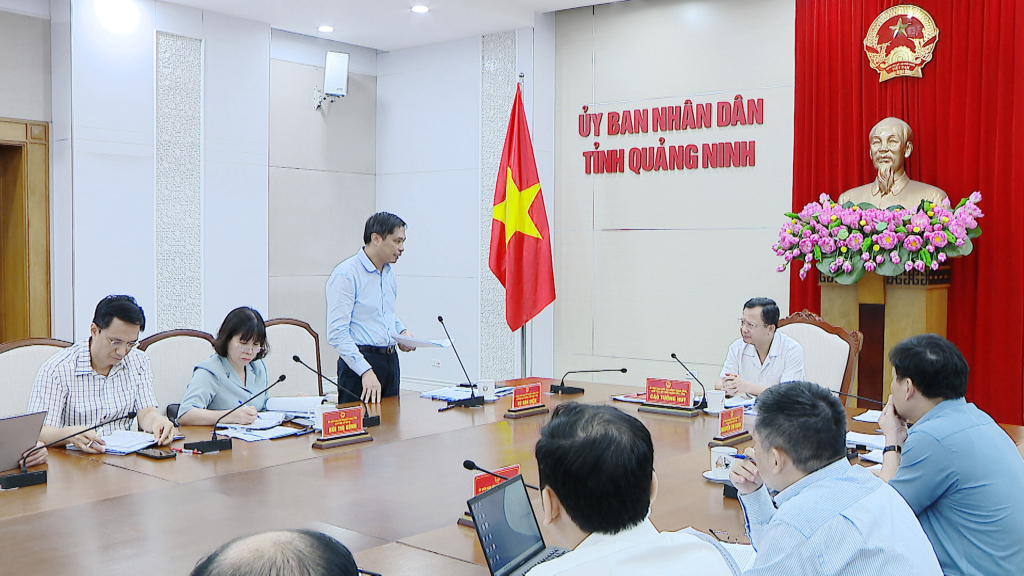 Đồng chí Vũ Văn Diện, Phó Chủ tịch Thường trực UBND tỉnh phát biểu tại cuộc họp