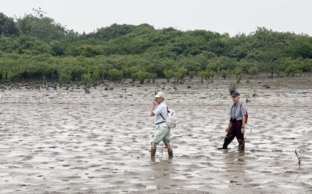 Chuyên gia của ACTMANG khảo sát rừng ngập mặn tại xã Đồng Rui, huyện Tiên Yên (tháng 4/2024).