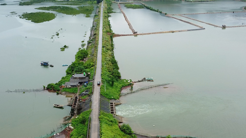 Một số đoạn giữa đê Hà Dong và đê Hà Thụ thuộc xã Hải Lạng mái đê phía ngoài biển đã bị rò gây nguy hiểm khi mưa bão và nước triều cường.