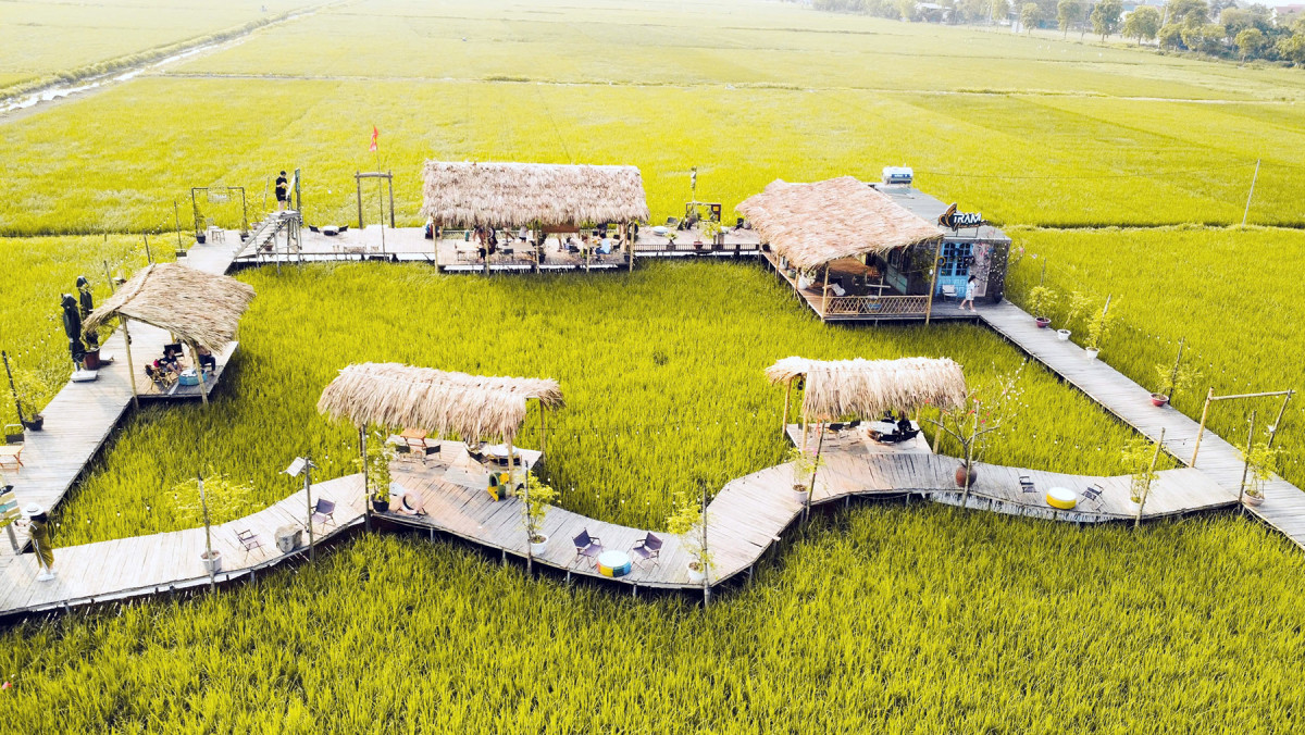 Coffee shop set amid rice paddies captivates Hanoians