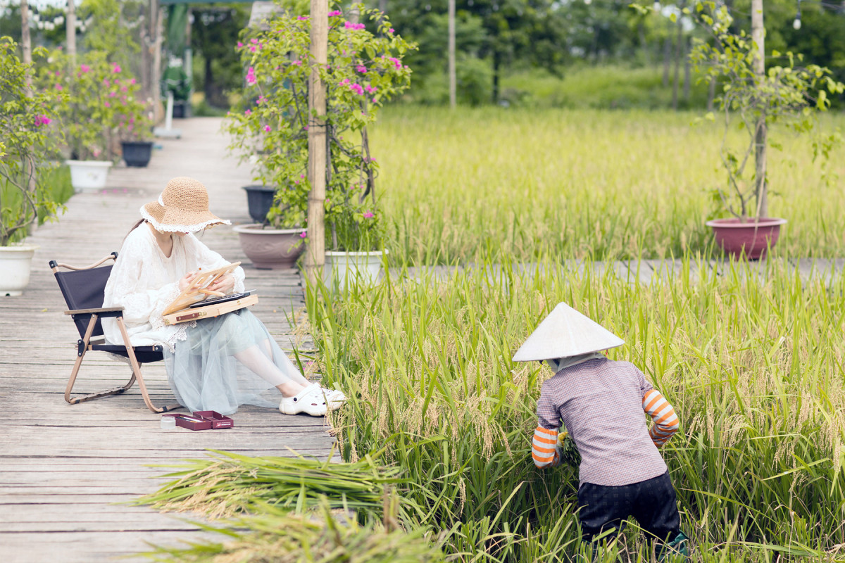 Coffee shop set amid rice paddies captivates Hanoians