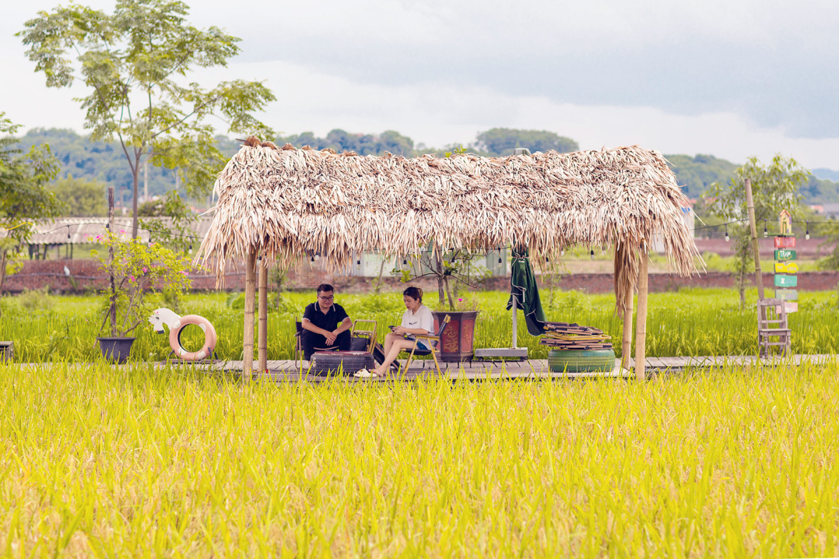 Coffee shop set amid rice paddies captivates Hanoians