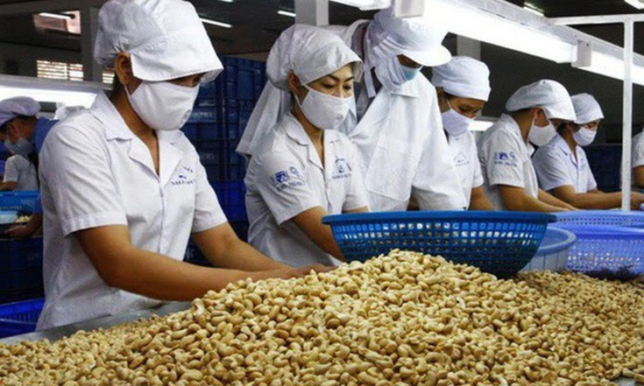 Thế mạnh Việt top 1 thế giới: Nhập 90% nguyên liệu, DN lao đao vì đối tác bẻ kèo