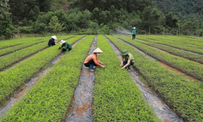 Green productivity brings benefits to enterprises: expert