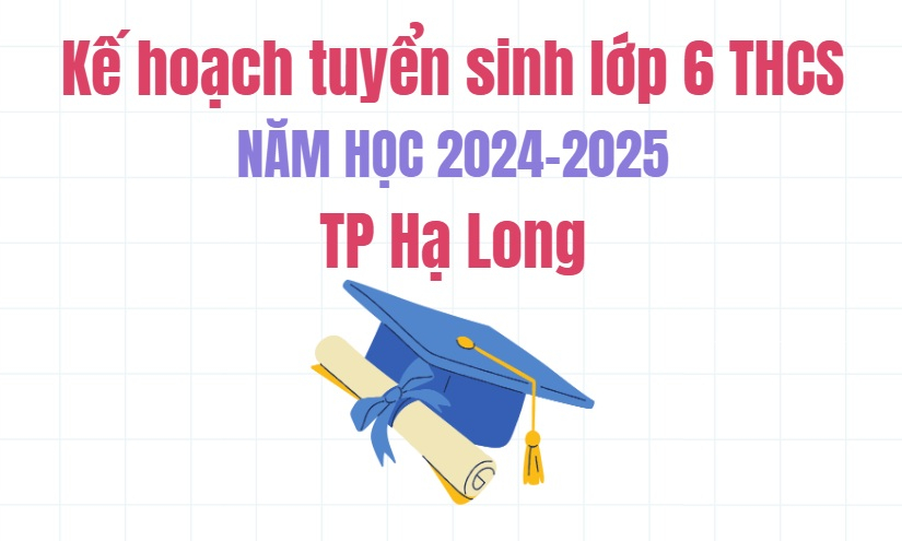 Kế hoạch tuyển sinh vào lớp 6 THCS năm học 2024-2025 tại TP Hạ Long
