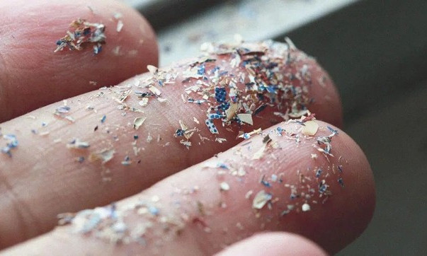 Vấn nạn vô sinh vì vi hạt nhựa