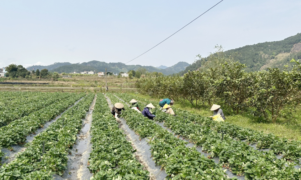 Phát huy tinh thần đoàn kết giúp nhau giảm nghèo