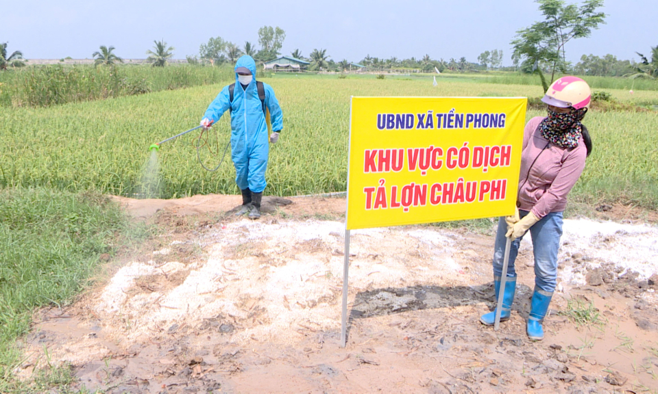 Quyết liệt phòng chống dịch tả lợn châu Phi