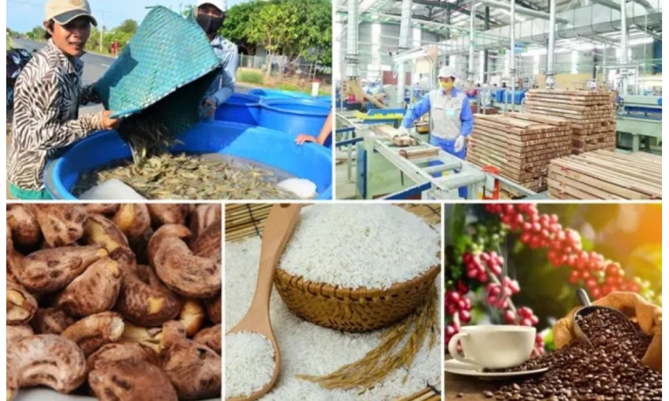 Xuất khẩu nông lâm thủy sản: Định vị thương hiệu để giá trị tăng trưởng bền vững
