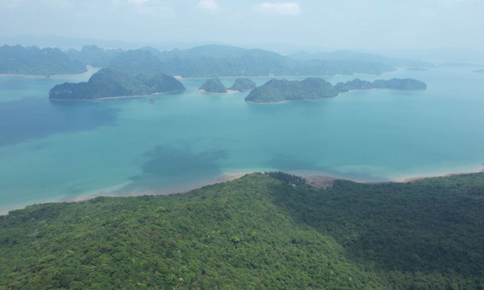 Bai Tu Long National Park conserves rich biodiversity values
