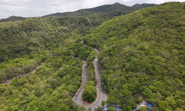 Việt Nam secures dual results in fighting desertification