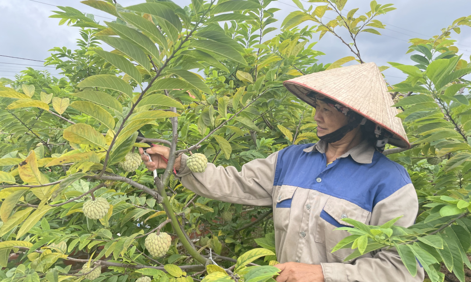 Hỗ trợ phụ nữ phát triển kinh tế gia đình