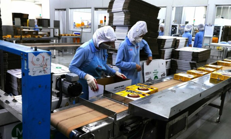 Sản xuất chịu áp lực vì chi phí đầu vào tăng