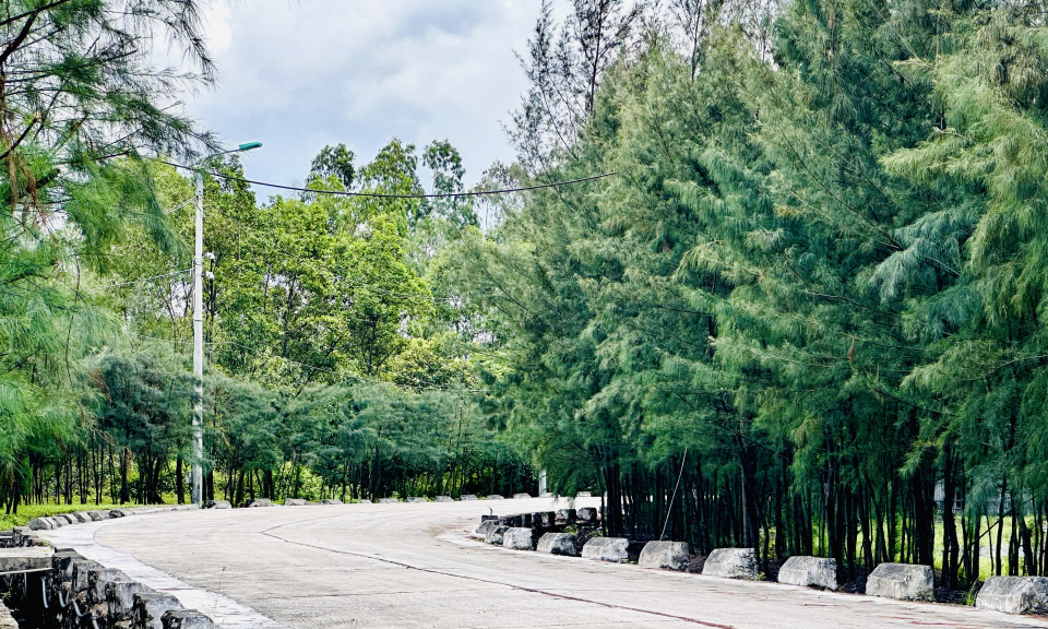Công ty Kho vận Đá Bạc - TKV: Gắn sản xuất với bảo vệ môi trường