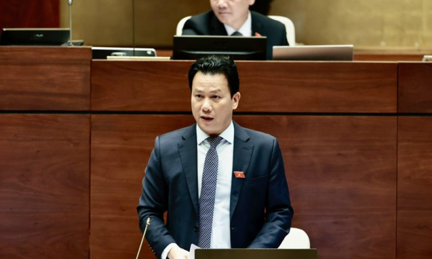 Viet Nam's rare earth reserve estimated at over 20 million tons: Environment Minister