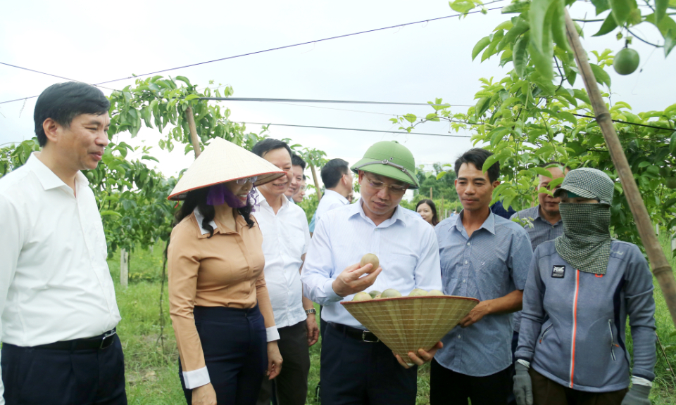 Xây dựng huyện Đầm Hà trở thành huyện NTM kiểu mẫu vào năm 2025