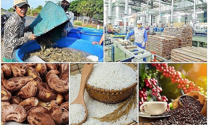 Xuất khẩu nông sản sang Trung Quốc: Dòng chảy tiếp tục được khơi thông