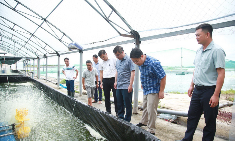 Tiên Yên: Chung sức, đồng lòng, giữ vững nhịp độ phát triển