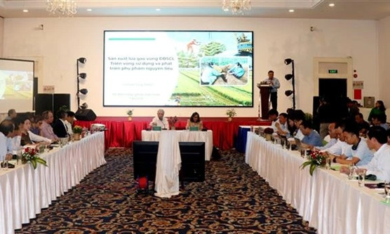 Workshop highlights Việt Nam's potential for developing circular economy from rice by-products