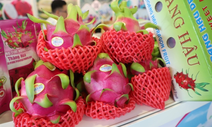 Experts stress the need to promote fruit sales, regulate export markets as peak season arrives