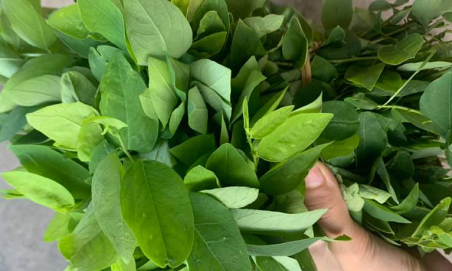 Loại rau chỉ vài nghìn đồng nhưng lượng vitamin C cao hơn cam, chanh