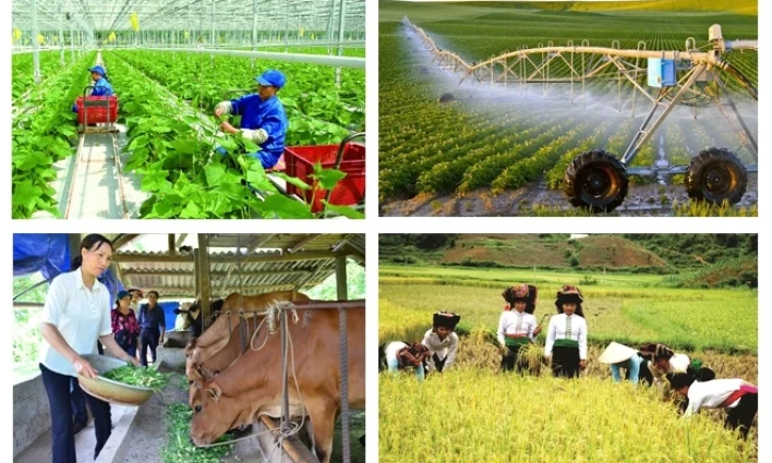 2025 rural, agricultural census to collect data on production, residents 