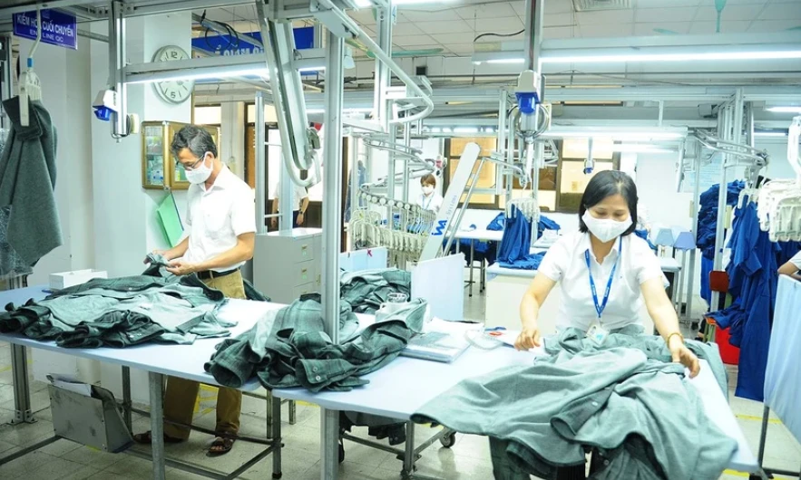 Domestic production sees green shoots 