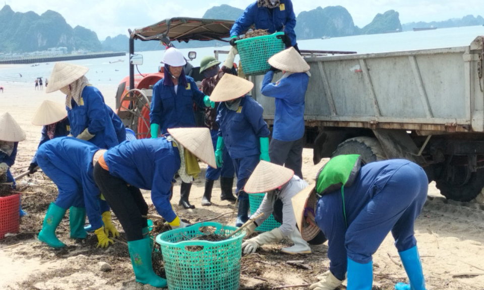 Hạ Long: Thu gom lượng lớn rác thải sau mưa lớn