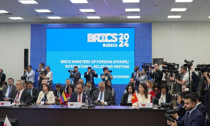 Vietnam attends BRICS Dialogue with Developing Countries