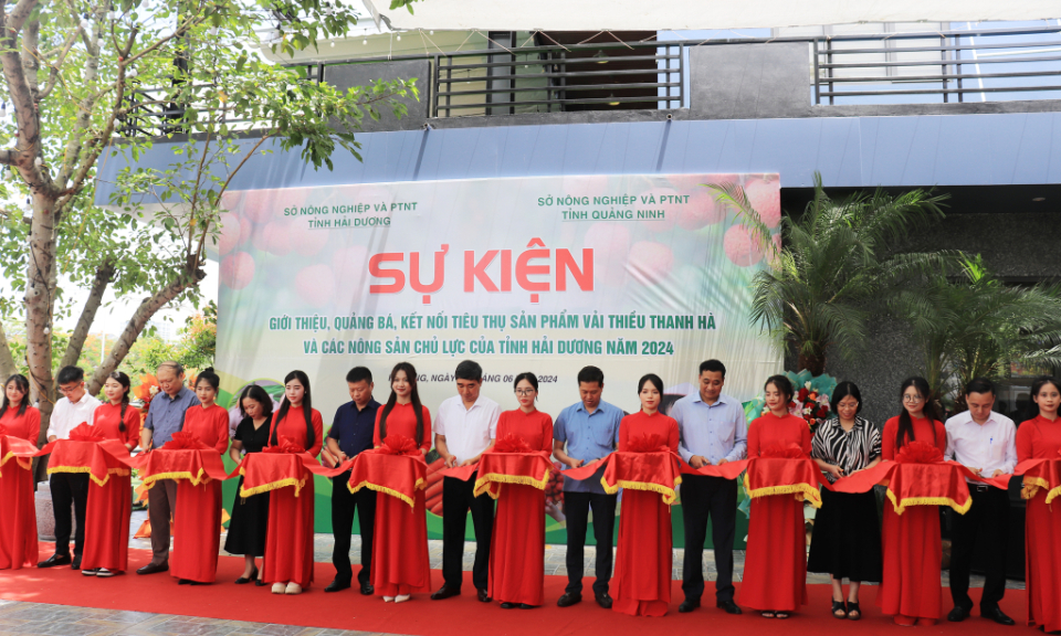Bản tin Quảng Ninh ngày 13/6/2024