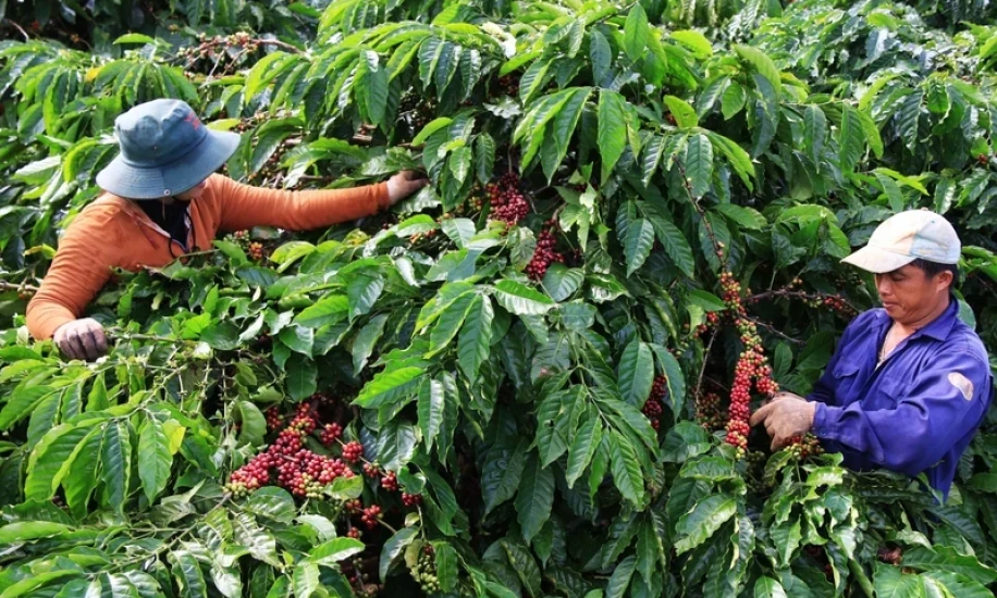Protecting agricultural supply chains 