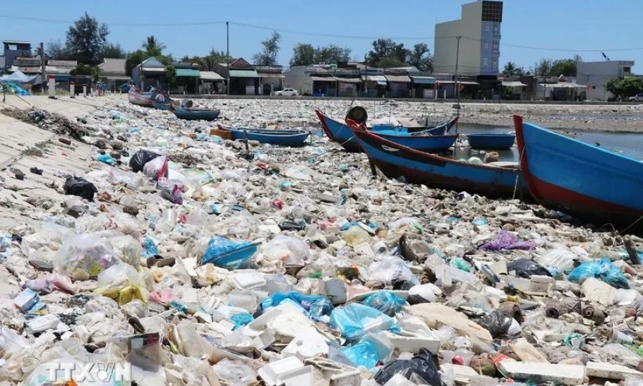 Photo contest raises awareness of marine environment protection 