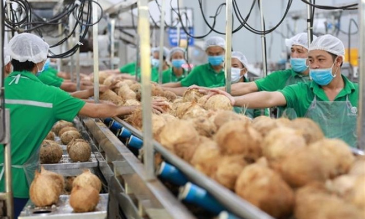 Early US recognition of market economy to increase opportunities for Vietnamese exports