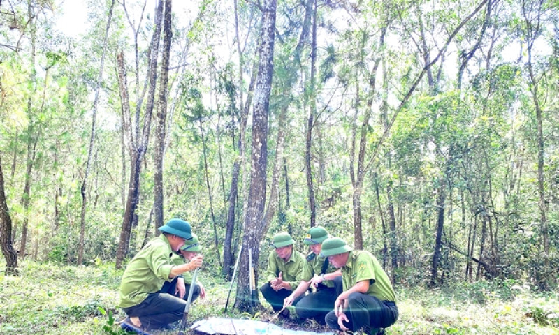 Việt Nam works with global partners to fight desertification