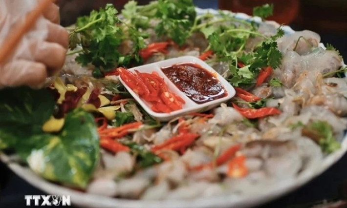 Vietnamese food festival lures visitors