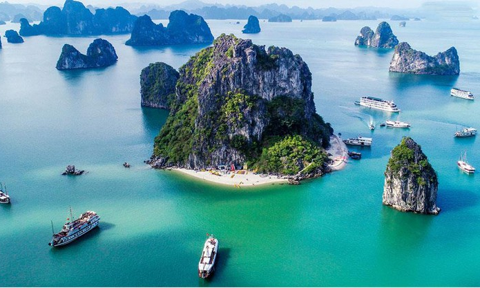 A beautiful world on Quang Ninh’s seabed