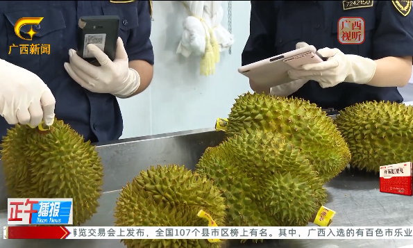 进口榴莲首次从友谊关口岸弄尧通道通关